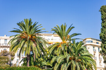 Fototapeta premium Iconic landmarks of Nice, France