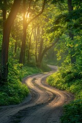 Obraz premium Serene Forest Pathway at Sunrise with Lush Greenery and Winding Dirt Road