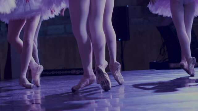 ballet dancer girls on stage