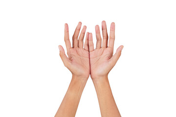 Open hand palm bare hand pose isolated transparent