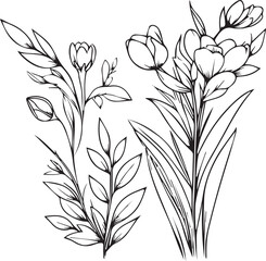 Flower coloring page and books, monochrome vector sketch, spring flower sketch, spring flower vector, floral background with spring flower natural leaf collection, illustration pencil art spring