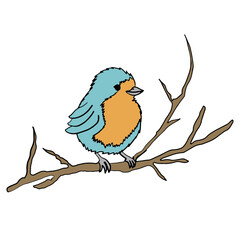 illustration cute little blue bird on branch