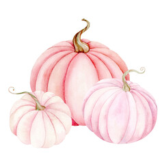 Pink and beige pumpkins, in feather colors. Halloween illustration. Suitable for textiles, scrapbooking, wrapping paper, cards and invitations.