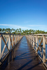 Fototapeta premium Wooden boardwalk leading to a lush, palm-covered island at Cloud 9, Philippines. The clear blue sky and surrounding waters enhance the tropical beauty of this picturesque location.