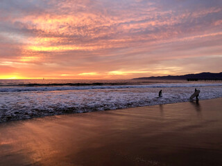 Sunset at the Beach with Surfers