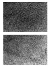 Set pencil freehand line drawing strokes texture illustration. Background abstract hand-drawing mock up. Natural sketch hatching doodle freehand chalk scribble black grunge handmade.