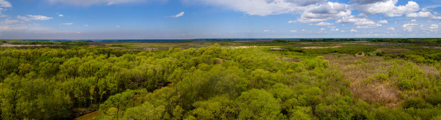 Panoramic aerial view looking down onto a lush light green colored forest that is surrounded by a marsh. The sky is blue with scattered white clouds.
