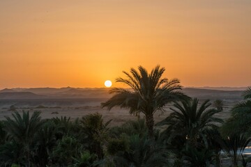 Obraz premium Picturesque desert landscape with palm trees at sunset, featuring a golden sky and distant mountains