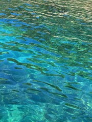 Fototapeta premium Blue turquoise rippled sea water surface 