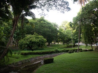 tropical garden