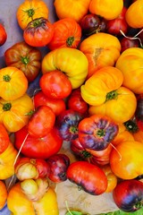 Crate of colorful organic red, yellow and black tomatoes at the farmers market