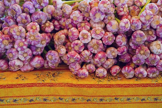 Fresh purple garlic heads at a French farmers market