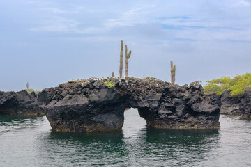 Paisaje marino de lava - Túneles - Isla Isabela - Islas Galápagos - Ecuador