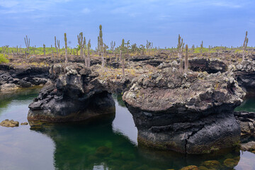Paisaje marino de lava - Túneles - Isla Isabela - Islas Galápagos - Ecuador