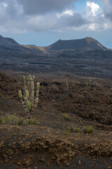 Paisaje volcánico desértico - Volcán Sierra Negra - Isla Isabela - Islas Galápagos - Ecuador