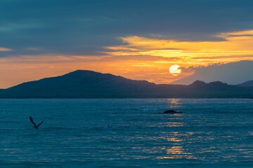 Colorido atardecer en paisaje de costa - Isla Isabela - Islas Galápagos - Ecuador