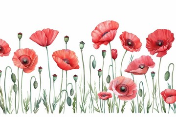 Obraz premium A bright watercolor depiction of poppies, their delicate red petals fluttering in the breeze, isolate on white background with copy space