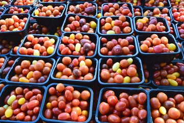 grape tomato multi-colored fresh food market
