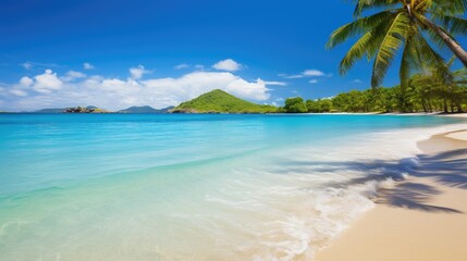 Fototapeta premium Scenic tropical beach with palm trees and crystal clear water, perfect for a relaxing getaway.