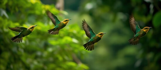 Four Green-and-Yellow Birds in Flight