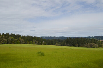 Tranquil Green Hills in Yamhill County, Oregon