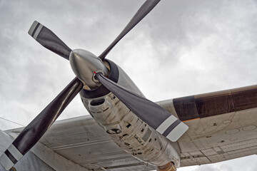 Conducting a detailed examination of the propeller blade with cloudy sky in the background....