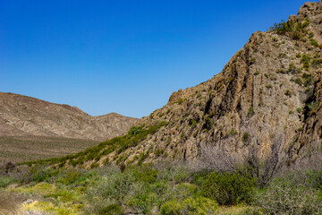 Desert floor mountain range in distance open space Valley of Fire Nevada day-trip from Las Vegas wide-open with background hills against a clear cloudless sky with shrubs in foreground	