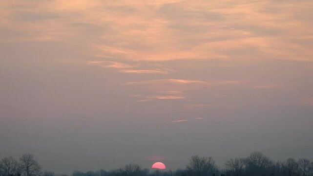 Sky during sunrise with pink and grey moving clouds and foog and red sun with Atmospheric refraction over misty horizon with dark trees on frosty morning winter weather.