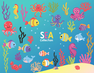 Set of wild marine animals. Inhabitants of the sea, cute crab, octopus, seahorse. Flat cartoon underwater scene with sea life