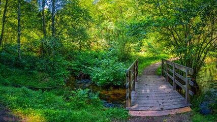 Obraz premium Landscape near Lac de Vassivière - Wooden Bridge in Forest