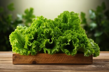 Fototapeta premium lettuce leaves in a wooden box, fresh herbs