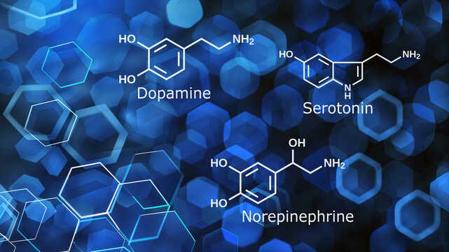 Dopamine, serotonin, and norepinephrine molecules. Happiness hormones.