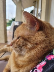 Titou © Laurie