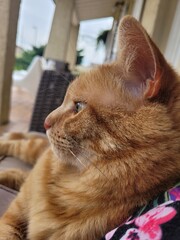 Titou © Laurie