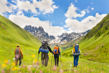 Obraz premium A group of tourists go on a mountain hike through Alpine meadows. Summer outdoor activities. Active lifestyle