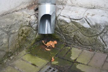 There are wet tiles and autumn leaves under the drainpipe near the wall of the building.