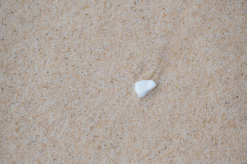 A white pebble on the fine beige sand of the beach