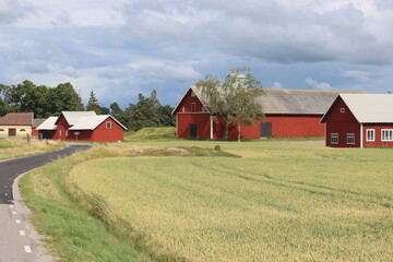 Obraz premium Sweden. Houses in Sweden in the countryside. Ostergotland province. 