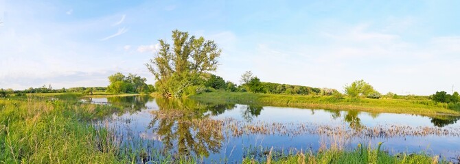landscape with lake