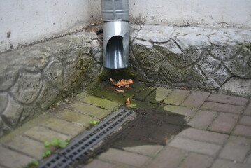 There are wet tiles and autumn leaves under the drainpipe near the wall of the building.