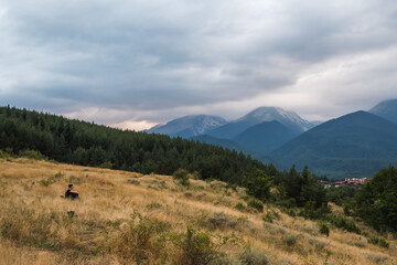 View of Pirin and Bansko at dusk, Bulgaria