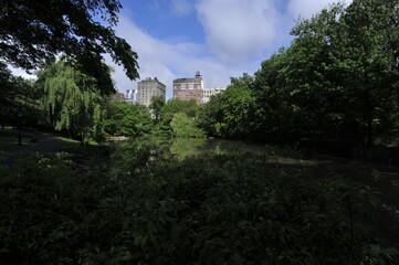 Fototapeta premium Central Park in New York