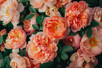 A bouquet of pink flowers with green leaves