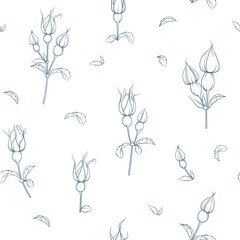 Seamless floral pattern with Rose. Botanical rosehip