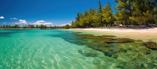 Obraz premium Tropical Beach with Crystal Clear Waters and Lush Greenery