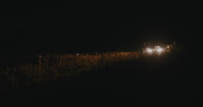 A car headlight shines at night in a field or forest.