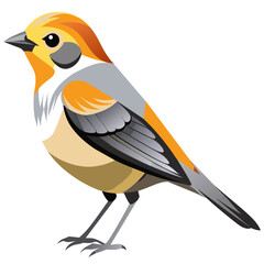 Verdin Vector Illustration Detailed Bird Art