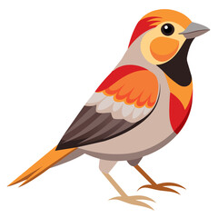 Verdin Vector Illustration Detailed Bird Art