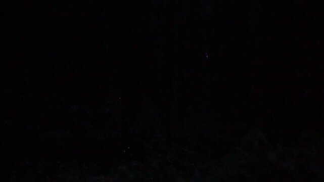 Tottori,Japan - July 2, 2024: Fireflies or Hotaria parvula or Hime botaru flying over Obara river at Fukumaki Hotaru no Kuni, Tottori, Japan, 
