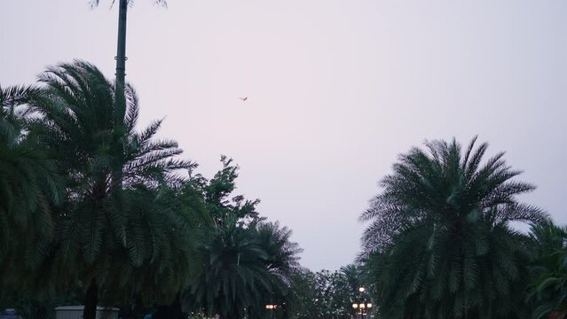 kites flying across the sky of cong vien vinhomes central park near palm trees in ho chi minh city HCMC saigon vietnam a windy day